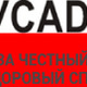 Тигренок конкурс результаты Тигренок конкурс результаты